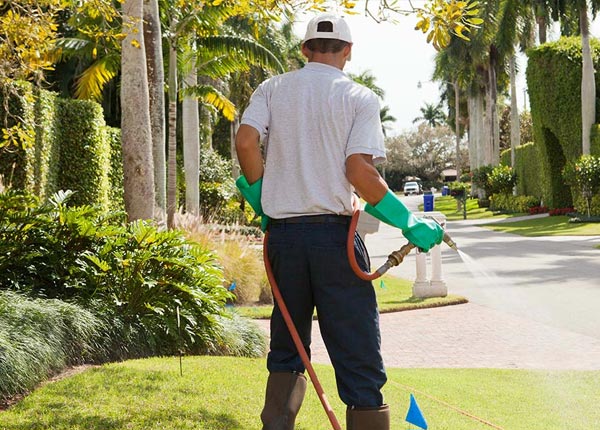 About House NM Pest Control